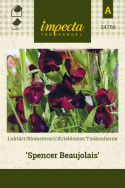 Tuoksuherne 'Spencer Beaujolais'