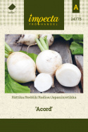 Japaninretikka 'Acord'