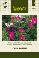 Tuoksuherne 'Patio Mixed'