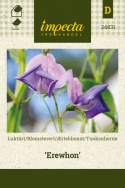 Tuoksuherne 'Erewhon'