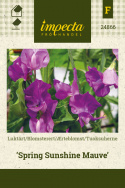 Tuoksuherne 'Spring Sunshine Mauve'
