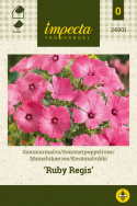 Kesämalvikki 'Ruby Regis'