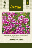 Sirokannusruoho 'Fantasista Pink'
