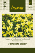 Sirokannusruoho 'Fantasista Yellow'