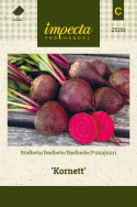 Punajuuri 'Kornett'