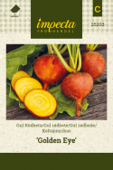Keltajuurikas 'Golden Eye'