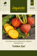 Keltajuurikas 'Golden Eye'