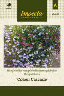 Riippalobelia 'Colour Cascade'