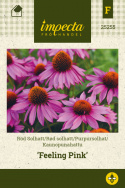 Kaunopunahattu 'Feeling Pink'