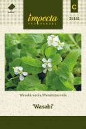 Wasabirucola 'Wasabi'