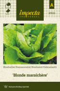 Sidesalaatti 'Blonde maraîchère'