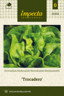 Keräsalaatti 'Trocadero'