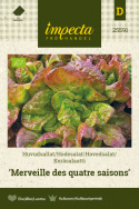 Keräsalaatti 'Merveille Des Quatre Saisons'