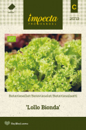 Bataviasalaatti 'Lollo Bionda'