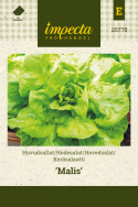 Keräsalaatti 'Malis'