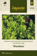Salaattisinappi 'Wasabino'