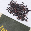 Salaattisinappi 'Wasabino'