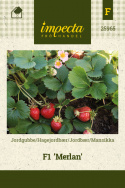 Mansikka F1 'Merlan'
