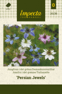 Tarhaneito 'Persian Jewels'