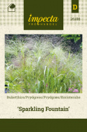 Hapsihirssi 'Sparkling Fountain'