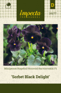 Sarviorvokki F1 'Sorbet Black Delight'