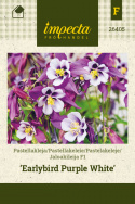 Jaloakileija F1 'Earlybird Purple White'