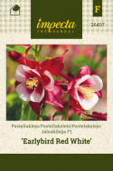 Jaloakileija F1 'Earlybird Red White'