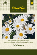 Prinsessankakkara F1 'Madonna'