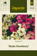 Petunia F1 'Shake Strawberry'
