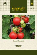Tomaatti 'Maja'
