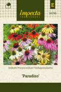 Tarhapunahattu 'Paradiso'