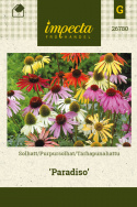 Tarhapunahattu 'Paradiso'