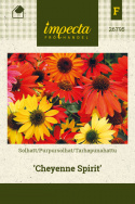 Tarhapunahattu 'Cheyenne Spirit'