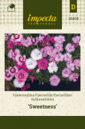 Sulkaneilikka 'Sweetness'