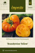 Pihvitomaatti 'Brandywine Yellow'
