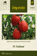Pihvitomaatti F1 'Grifone'