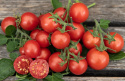Kirsikkatomaatti 'Cherry Falls'