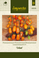 Luumutomaatti F1 'Odat'