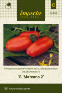Luumutomaatti 'San Marzano 2'
