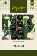 Tomaatti 'Blackball'