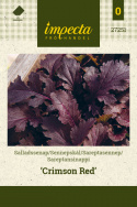 Sareptansinappi 'Crimson Red'