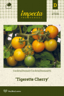 Kirsikkatomaatti 'Tigerette Cherry'
