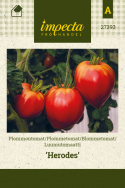 Luumutomaatti 'Herodes'