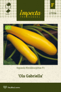 Kesäkurpitsa F1 'Ola Gabriella'