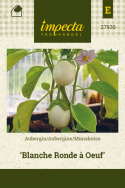 Munakoiso 'Blanche Ronde Á Oeuf'
