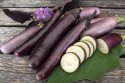 Munakoiso 'Slim Jim'
