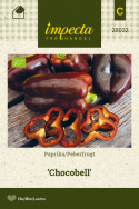 Paprika 'Chocobell'