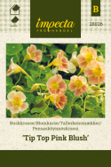 Pensasköynnöskrassi 'Tip Top Pink Blush'