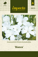Aurankukka 'Bianca'