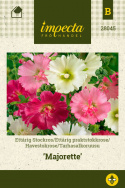 Tarhasalkoruusu 'Majorette'
